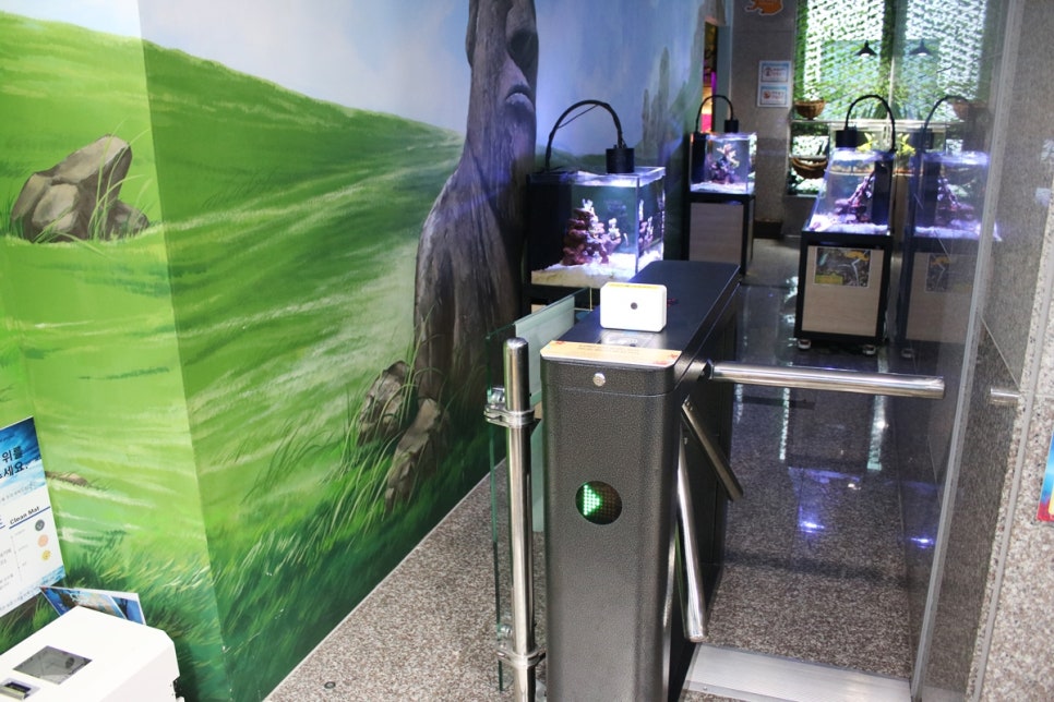 동탄 실내동물원 도심속에서 이런 퀄리티라니 놀라게 되는 아르티스테마파크 관련 이미지 16