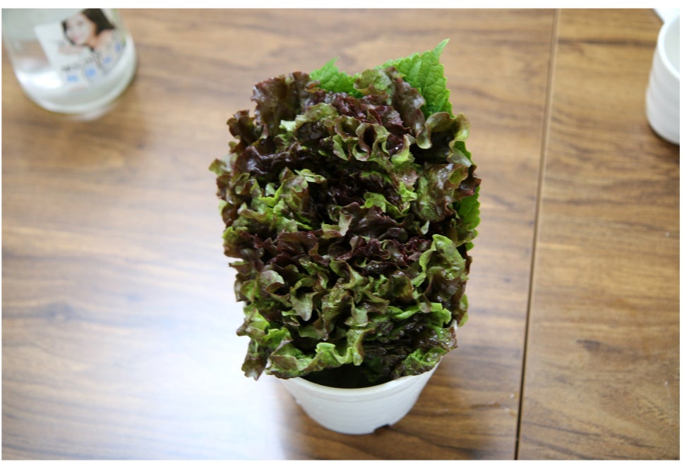 문래동맛집 모르면 손해보는곳 관련 이미지 8