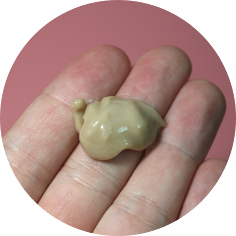 건조한두피에는 천연보습성분으로 무장한 테라피션 리프레싱 컨디셔너 관련 이미지 11