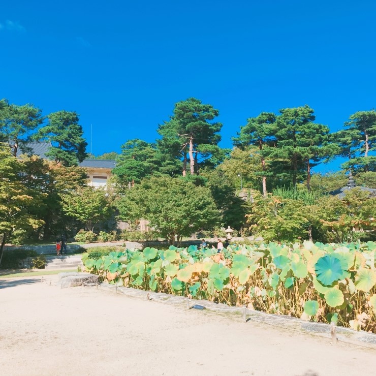 서울근교 나들이 가기 좋은곳! 관련 이미지 4