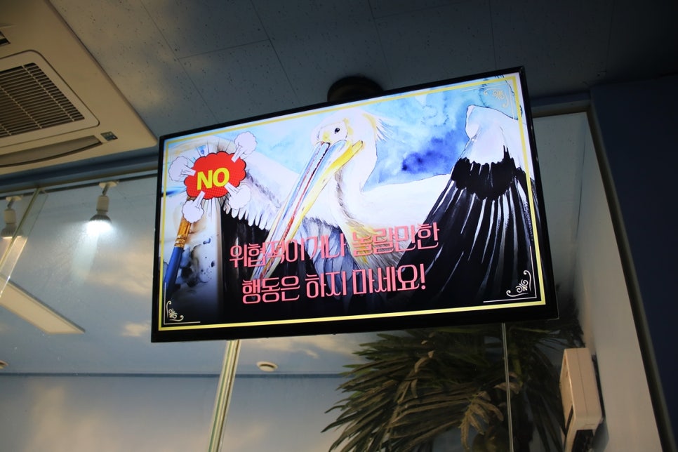 동탄 실내동물원 도심속에서 이런 퀄리티라니 놀라게 되는 아르티스테마파크 관련 이미지 82