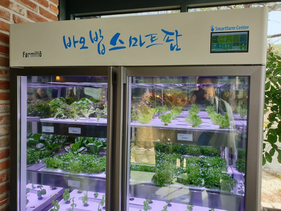 화성 가볼만한곳 바오밥식물원베이커리에 아이들과 함께 관련 이미지 2