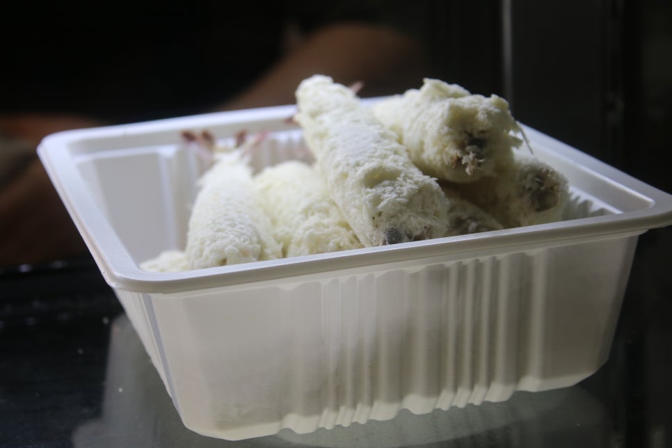 단대오거리 맛집 테이크아웃 하기 정말 좋은 오드리수제돈까스 관련 이미지 15