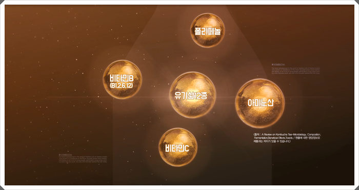 유기농콤부차 뭘 고르지? 관련 이미지 3