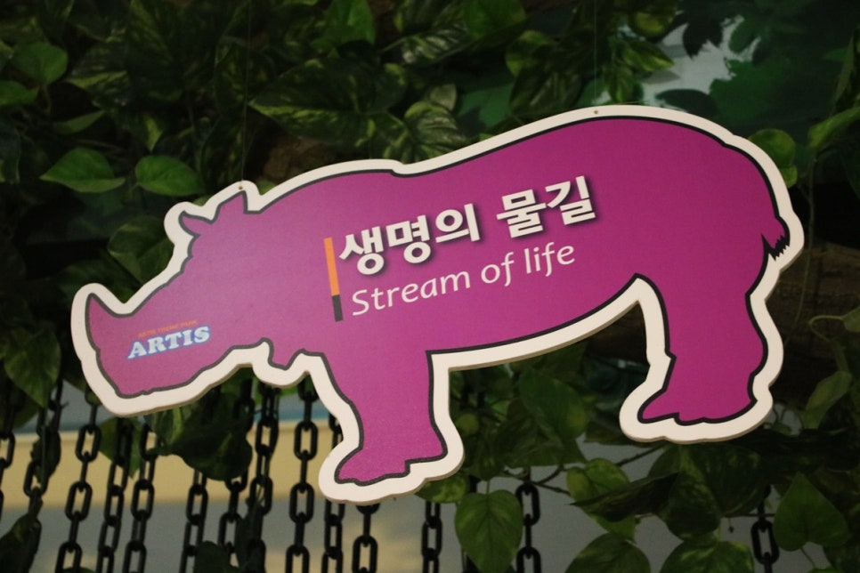 동탄 실내동물원 도심속에서 이런 퀄리티라니 놀라게 되는 아르티스테마파크 관련 이미지 38
