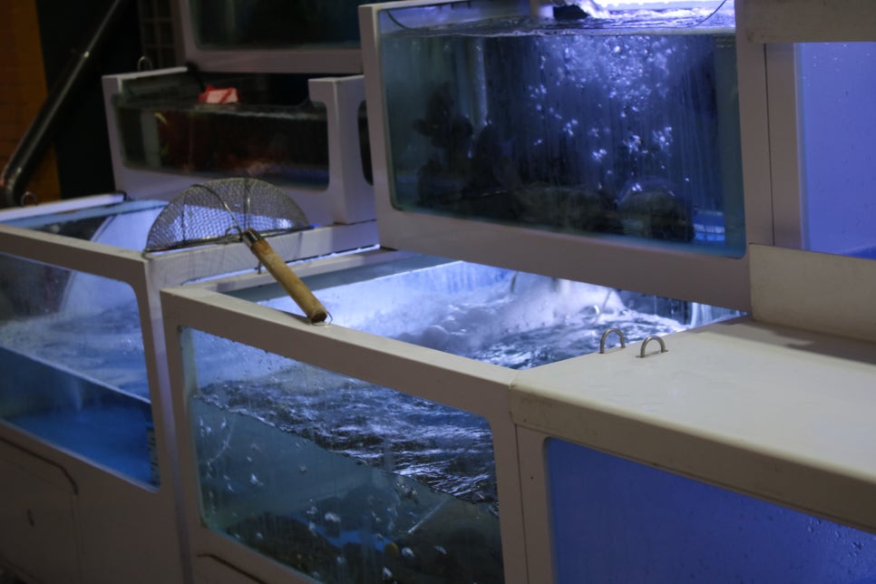 동탄역 맛집 푸짐했던 유쾌한 세꼬시 동탄역점 관련 이미지 4