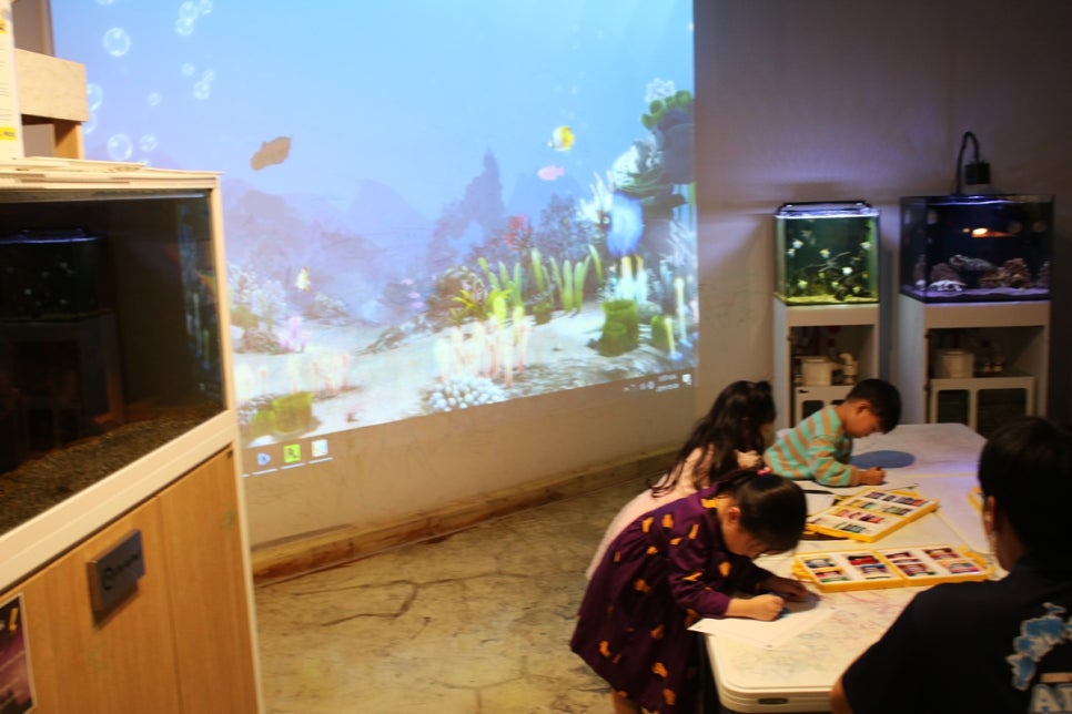 동탄 실내동물원 도심속에서 이런 퀄리티라니 놀라게 되는 아르티스테마파크 관련 이미지 88