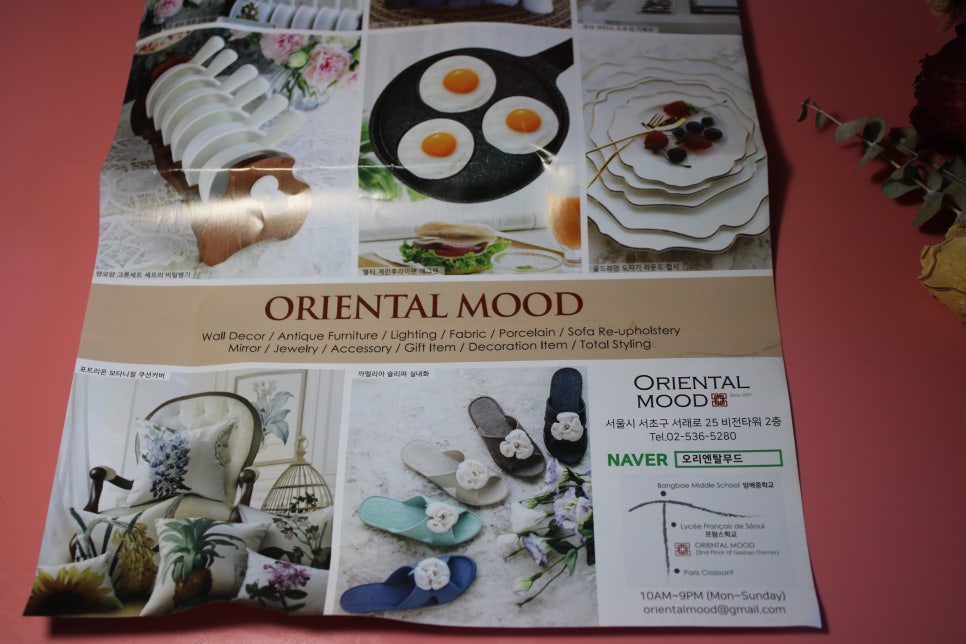 미세먼지정화식물 틸란드시아 이오난사 드뎌 나도 키운다! 관련 이미지 3