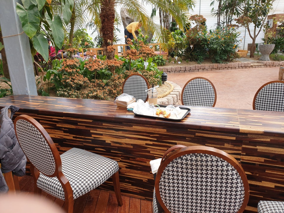 화성 가볼만한곳 바오밥식물원베이커리에 아이들과 함께 관련 이미지 21