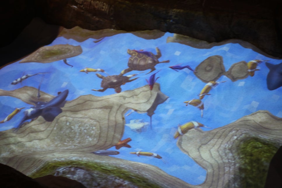 동탄 실내동물원 도심속에서 이런 퀄리티라니 놀라게 되는 아르티스테마파크 관련 이미지 33