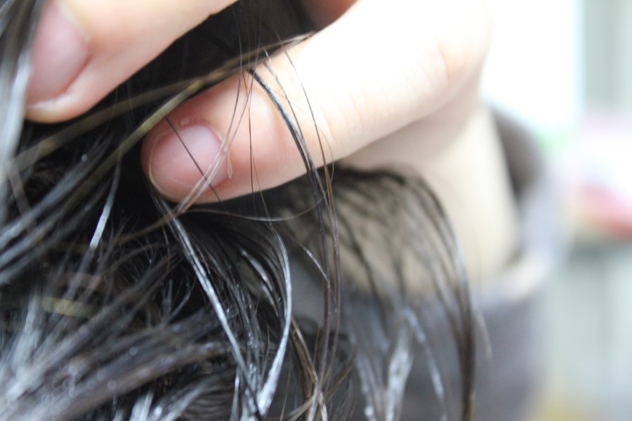 비듬없애는법 샴푸랑 같이쓰면 딱 좋은 테라피션 리프레싱 컨디셔너 관련 이미지 12