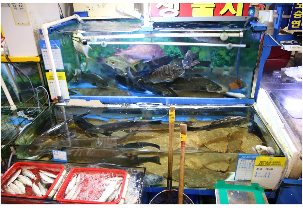 노량진수산시장 횟집 입에서 살살녹는 역대급후기 관련 이미지 3