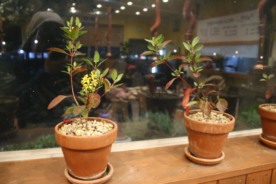 송탄오리고기 맛집 온가족이 행복한 시간을 보내고온 미당 관련 이미지 21