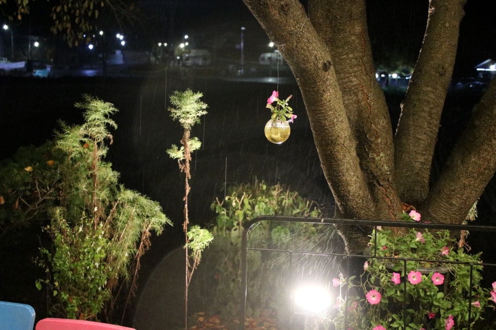 송탄오리고기 맛집 온가족이 행복한 시간을 보내고온 미당 관련 이미지 6