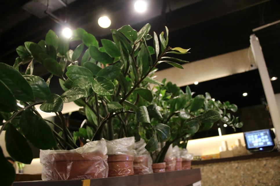 분당 가족모임 오랜만에 원기회복 제대로 하고 온 후기 관련 이미지 25