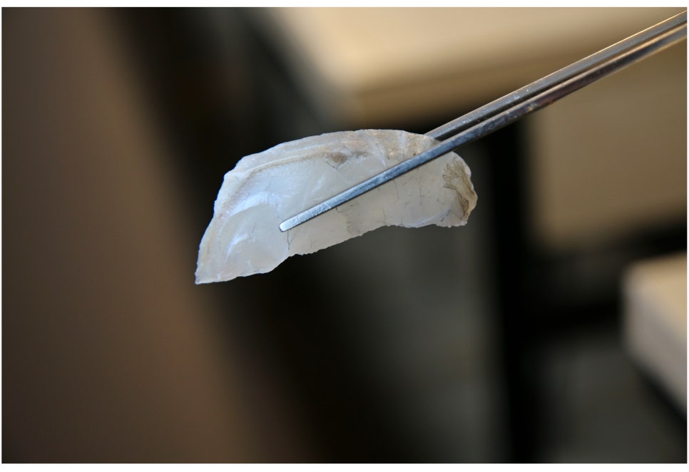 노량진수산시장 횟집 입에서 살살녹는 역대급후기 관련 이미지 19