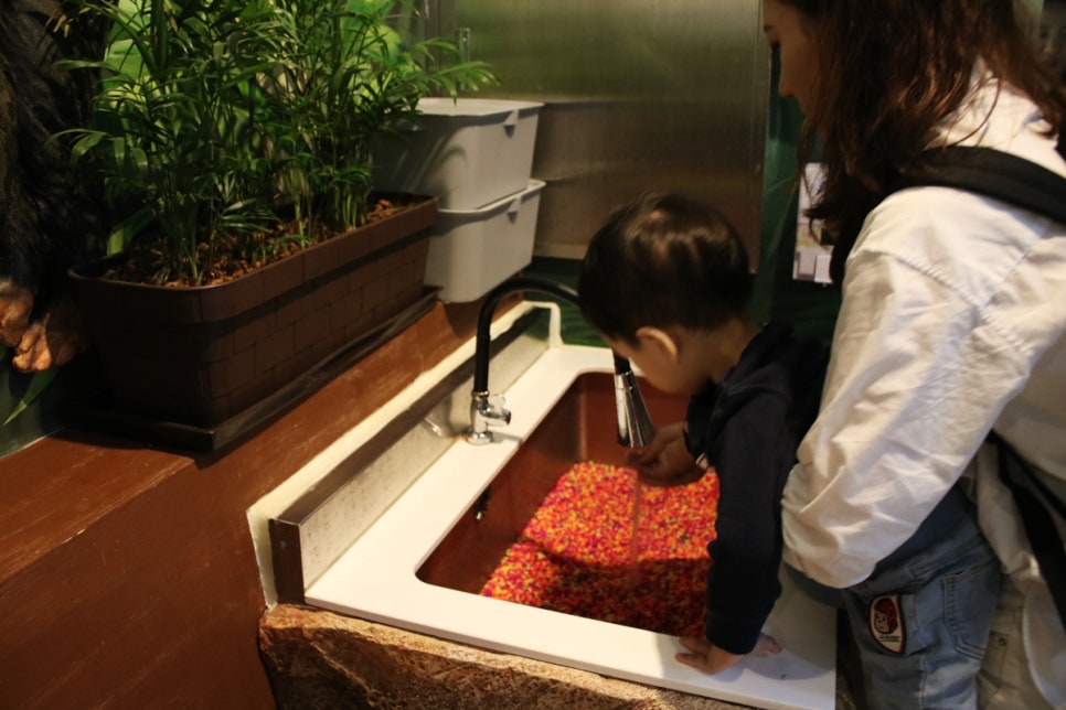 동탄 실내동물원 도심속에서 이런 퀄리티라니 놀라게 되는 아르티스테마파크 관련 이미지 50