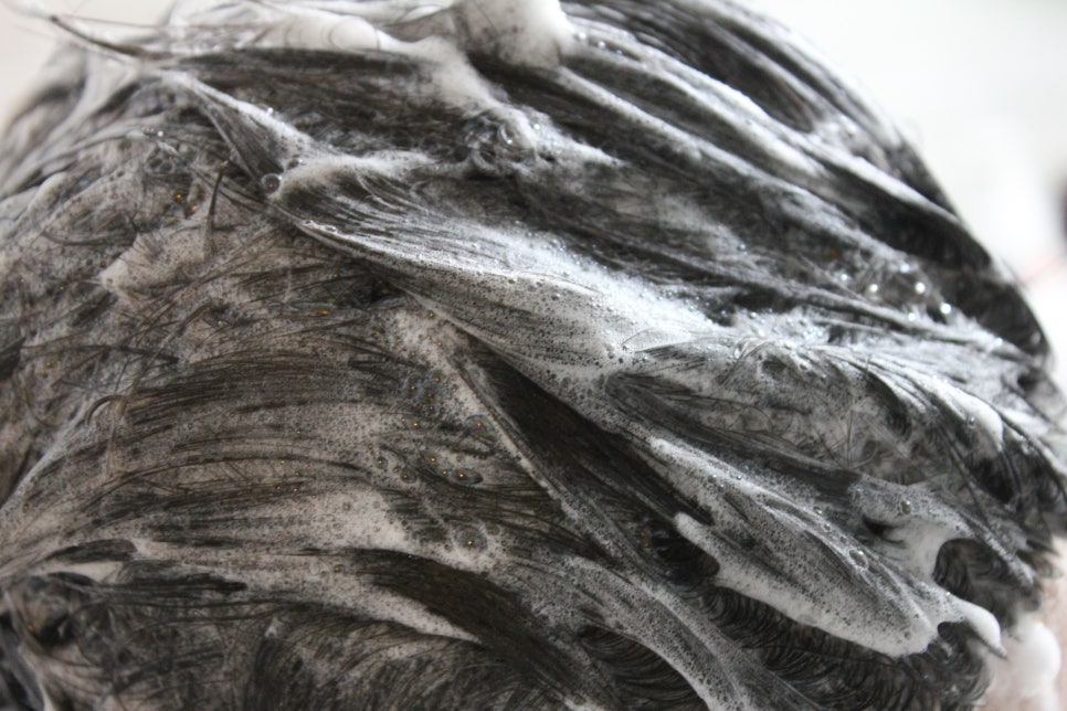 지루성두피샴푸 느낌부터 아니까 관련 이미지 10