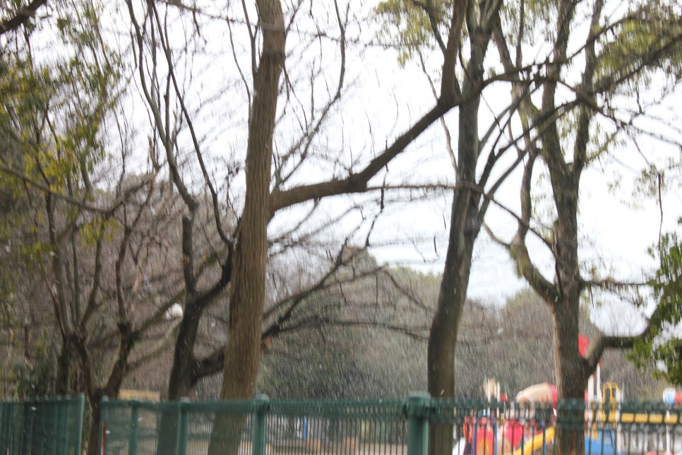 일본 후쿠오카 여행 오호리공원을 거닐면서 상념에 사로잡히다 관련 이미지 3