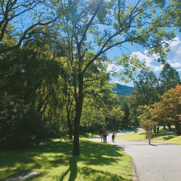서울근교 나들이 가기 좋은곳! 관련 이미지 6