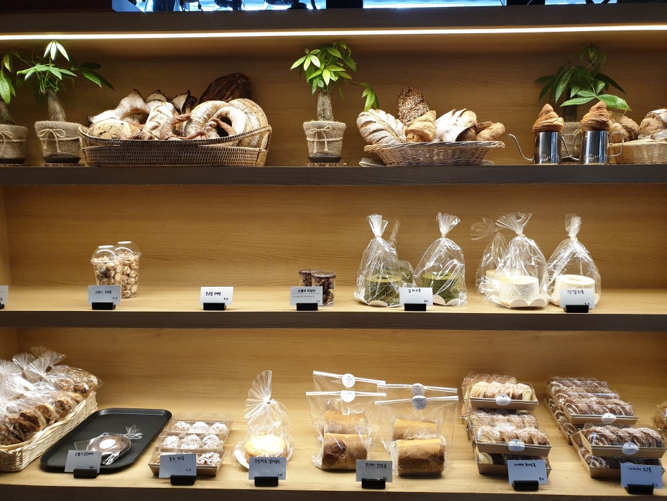 화성 가볼만한곳 바오밥식물원베이커리에 아이들과 함께 관련 이미지 4