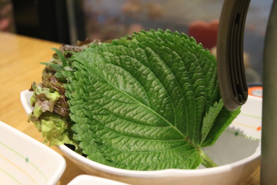 동탄2신도시 맛집 행복한 추억의 공감식탁 신리천점 관련 이미지 18