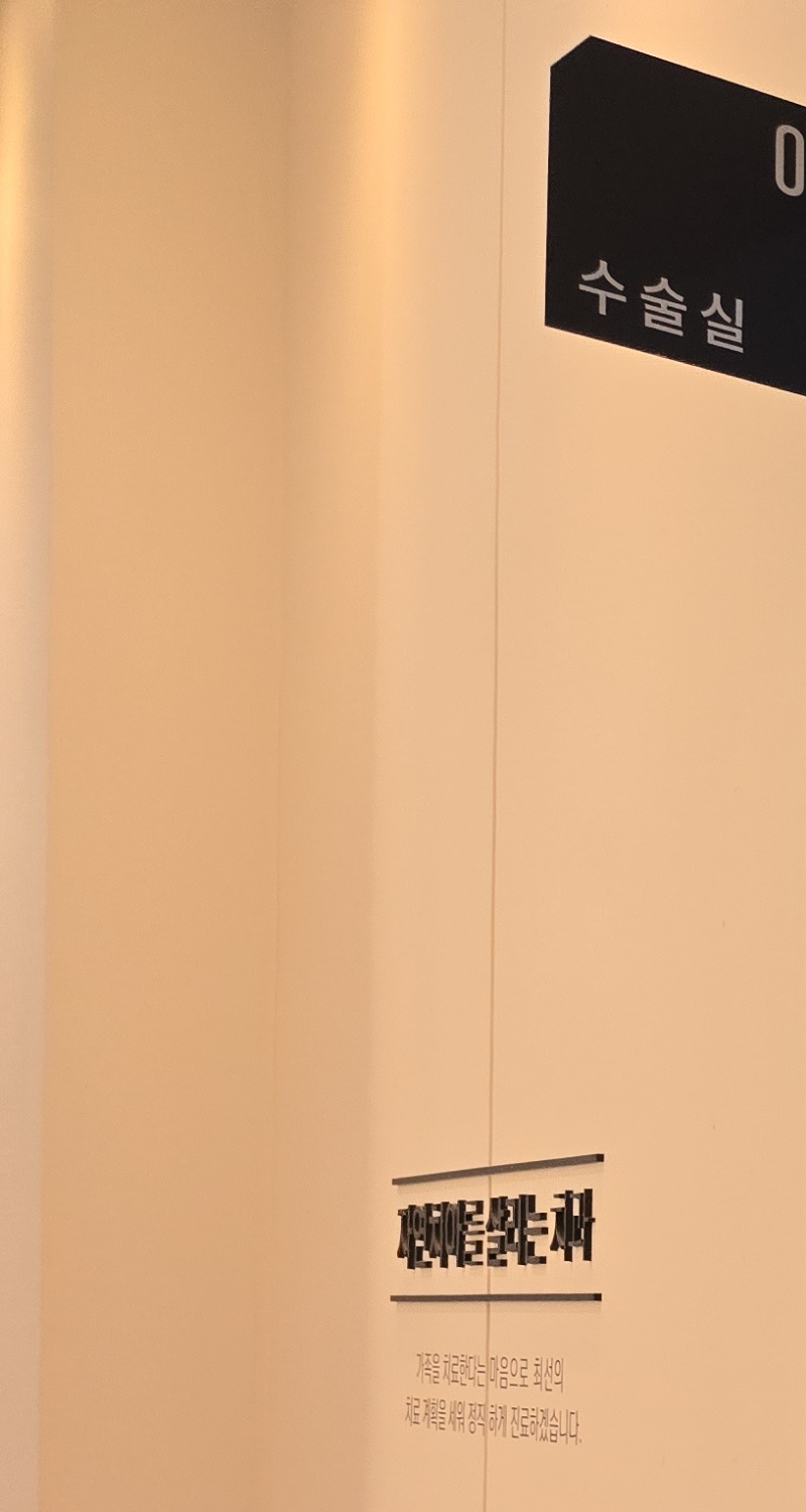 치아 시림 통증 갈수록 심해지다면 관련 이미지 15