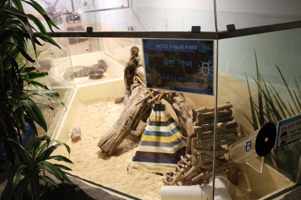 동탄 실내동물원 도심속에서 이런 퀄리티라니 놀라게 되는 아르티스테마파크 관련 이미지 41