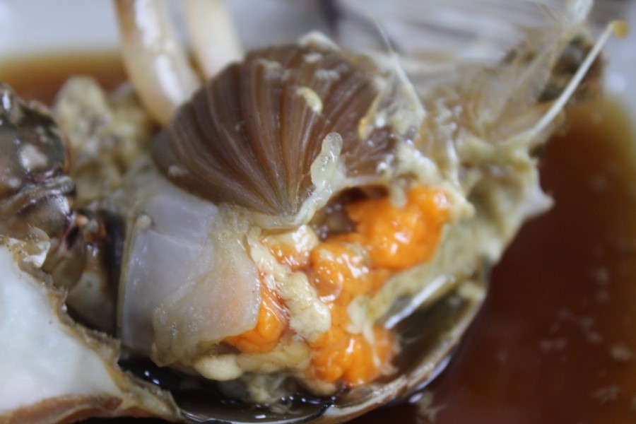 송죽동 맛집 짜지 않고 신선했던 밥도둑 안스게장 관련 이미지 27