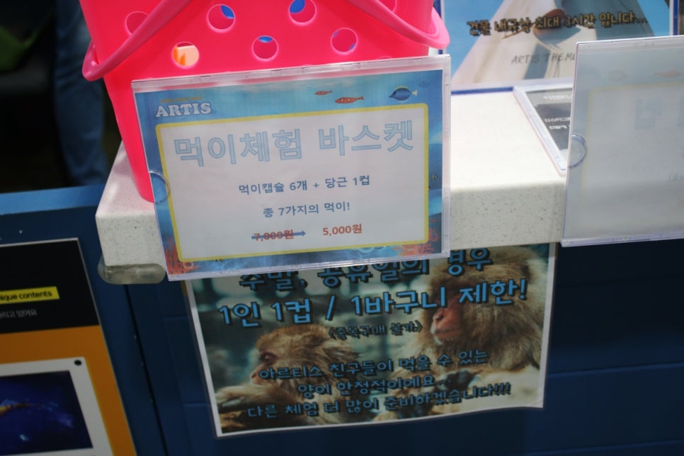 동탄 실내동물원 도심속에서 이런 퀄리티라니 놀라게 되는 아르티스테마파크 관련 이미지 5