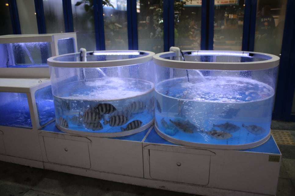 동탄역 맛집 푸짐했던 유쾌한 세꼬시 동탄역점 관련 이미지 3