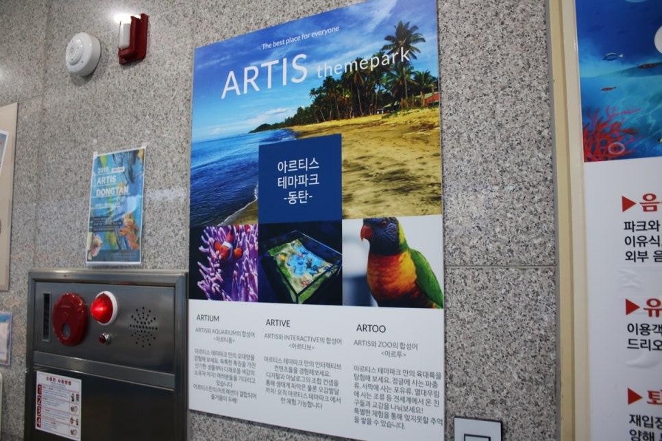 동탄 실내동물원 도심속에서 이런 퀄리티라니 놀라게 되는 아르티스테마파크 관련 이미지 12