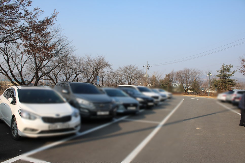 안성 맛집 지대로 보람을 느꼈던 파크엘림 관련 이미지 5
