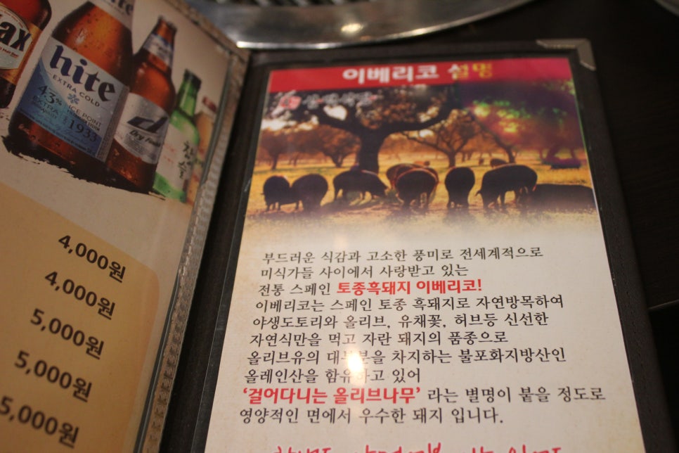야탑 고기집 미식가들이라면 꼭 한번 가볼만한곳 관련 이미지 18