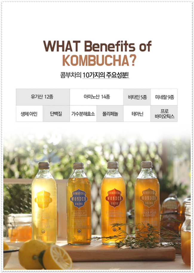 콤부차 효능 알고 마셔요! 관련 이미지 3