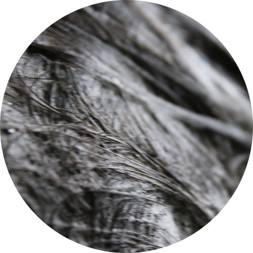 천연샴푸추천 샤워할때마다 기분이 좋아져요! 관련 이미지 16