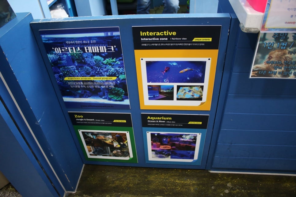 동탄 실내동물원 도심속에서 이런 퀄리티라니 놀라게 되는 아르티스테마파크 관련 이미지 4