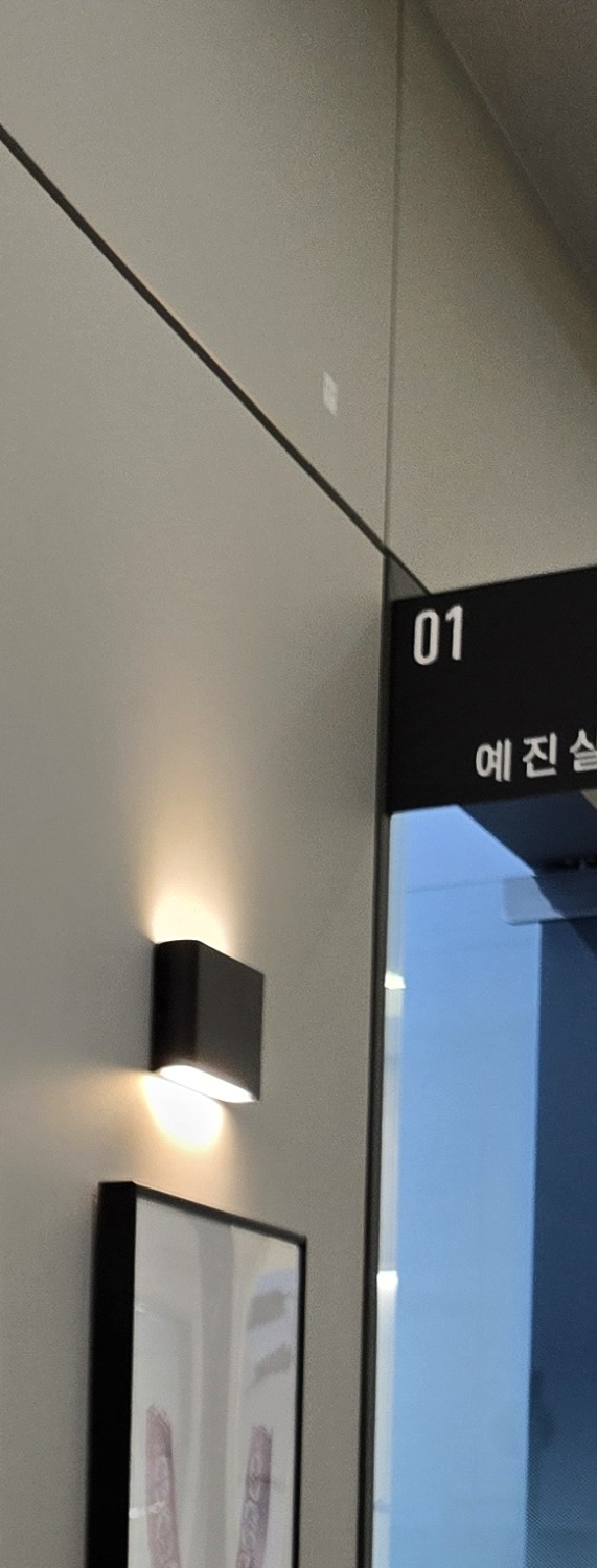 비발치 돌출입 교정 어떨때 적절할까 관련 이미지 27