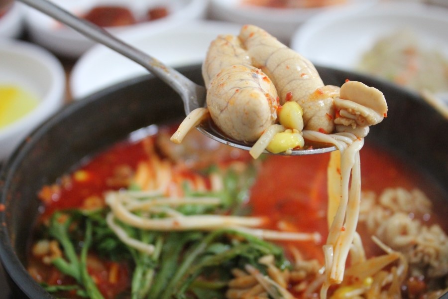 보통리 맛집 그냥 지나치기 어려운 속초코다리냉면 관련 이미지 23