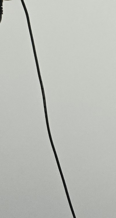 어금니 임플란트 안하면 후회하게 되는걸까 관련 이미지 14