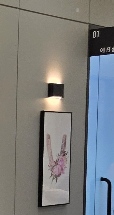 임플란트 뼈이식 안하면 어떤 문제가 있는거죠 관련 이미지 31