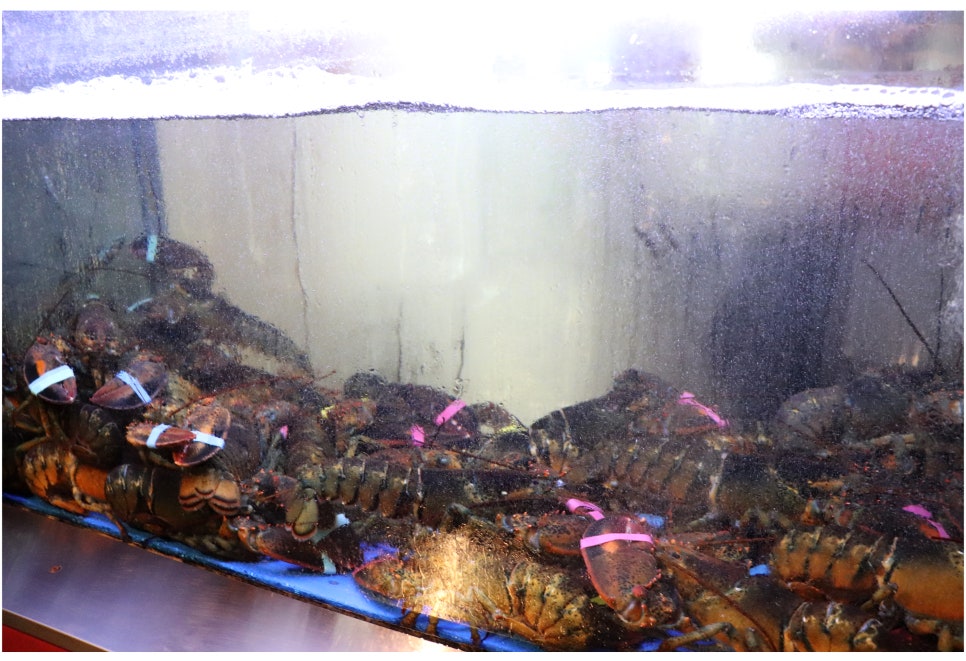 중곡동 맛집 면목동 주민도 인정한곳! 관련 이미지 3