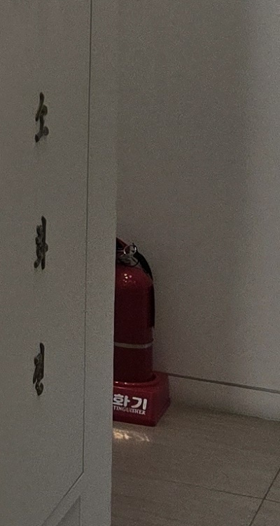 앞니 틀어짐 교정 조화롭게 마무리하려면 관련 이미지 36