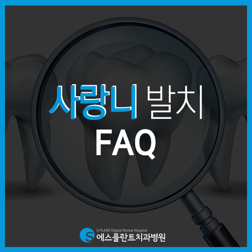 사랑니 발치에 관한 FAQ [에스플란트 치과병원] 관련 이미지 2