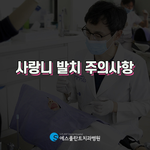 이름만 예쁜 사랑니, 꼭 빼야할까요? [에스플란트 치과병원] 관련 이미지 2