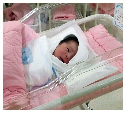 에스플란트치과병원 공식커플의 관련 이미지 1