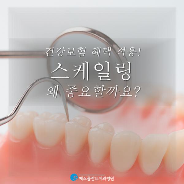 스케일링치료,주기적으로해야하는이유는? 관련 이미지 1
