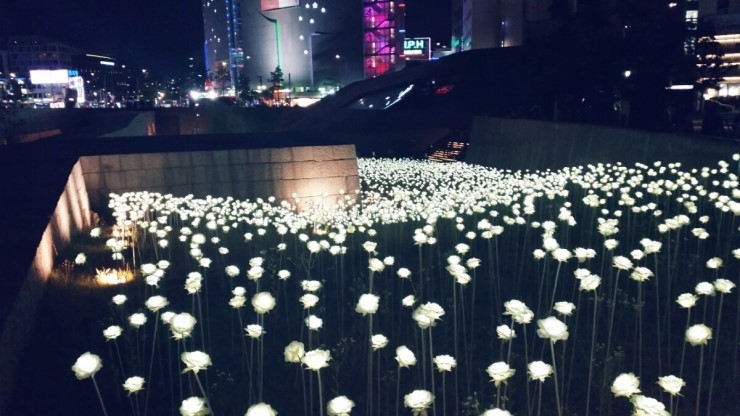 [서울 가볼 만한 곳] 프로듀사 촬영지 LED 장미로 유명한 동대문 DDP 장미정원에 다녀왔어요! 관련 이미지 1