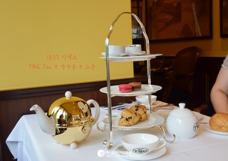 [청담 TWG] TWG tea 살롱 & 부티크 다녀왔어요~! 관련 이미지 6