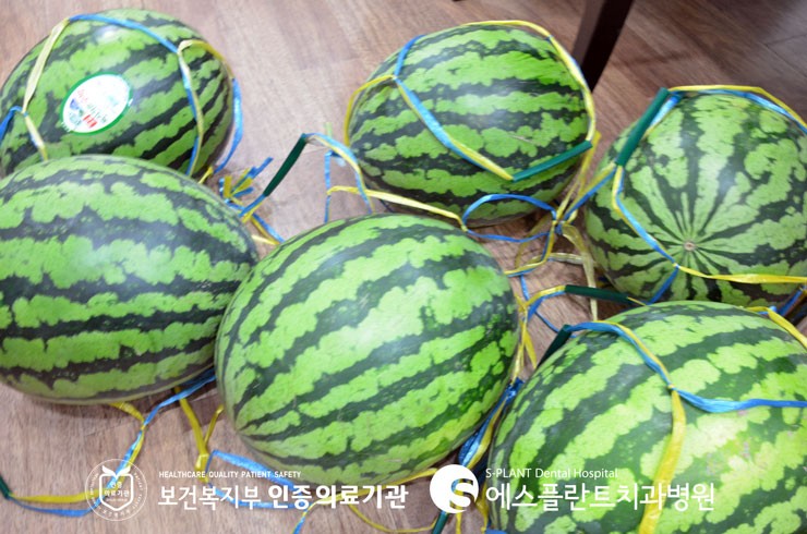 [말복에 먹는 음식] 전 직원을 위해 에스플란트치과병원 원장님들께서 준비해주신 맛난 보양 간식♡ 관련 이미지 3